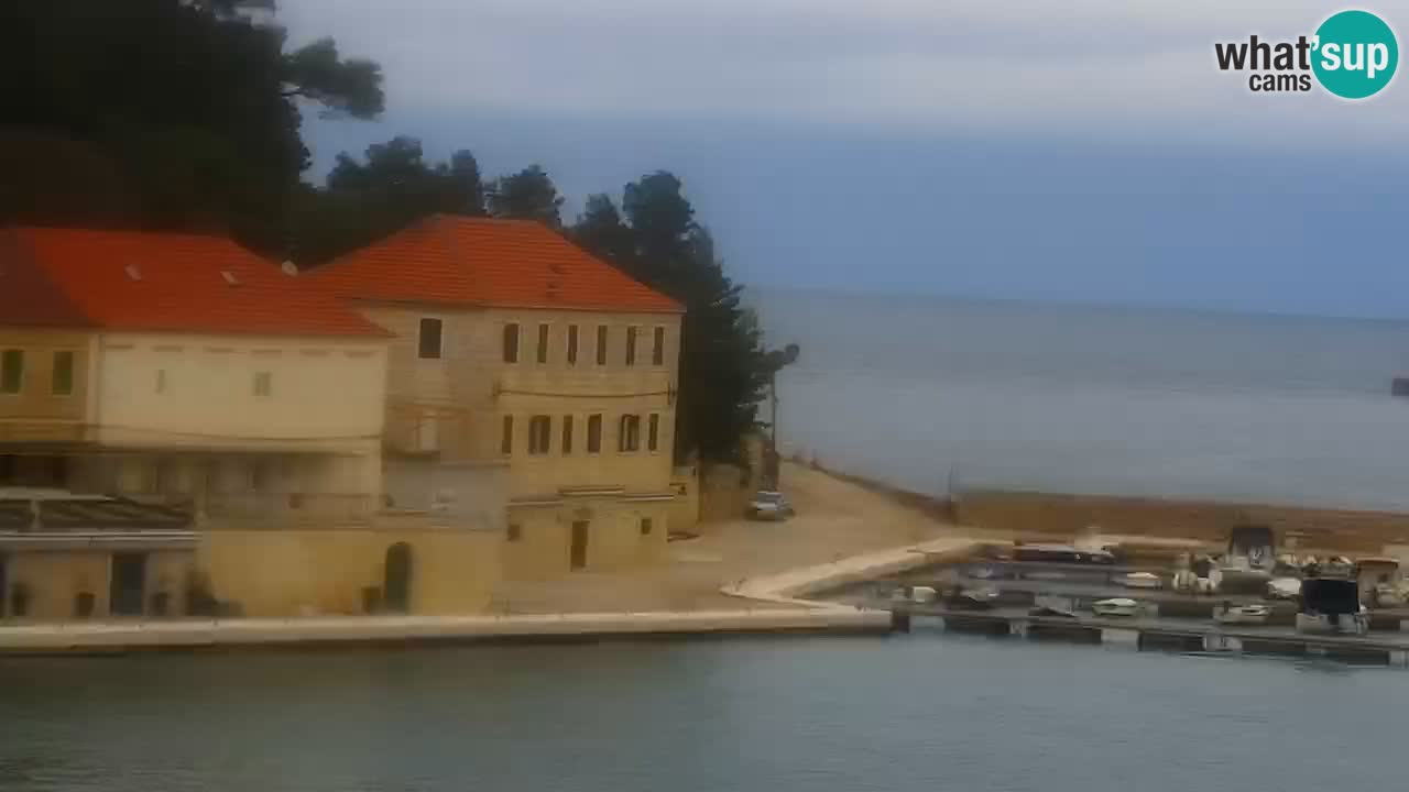 Jelsa Live Webcam motorizzata – Isola di Hvar – Dalmazia – Croazia