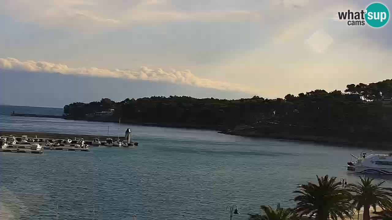 Jelsa camera en vivo – Isla de Hvar – Dalmacia – Croacia