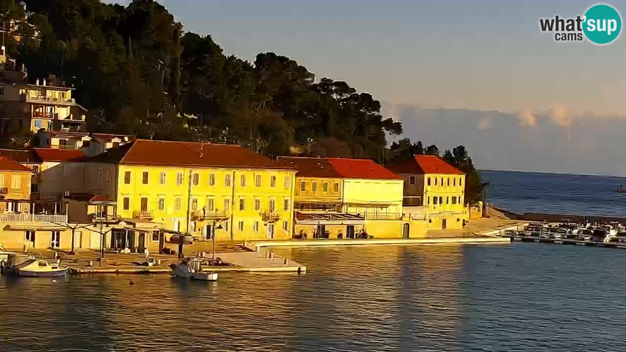 Jelsa Live Webcam motorized – Hvar island – Dalmatia – Croatia