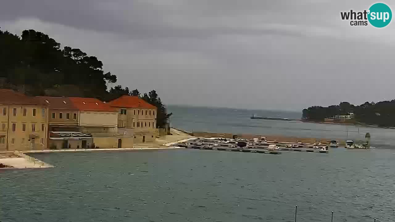 Jelsa camera en vivo – Isla de Hvar – Dalmacia – Croacia