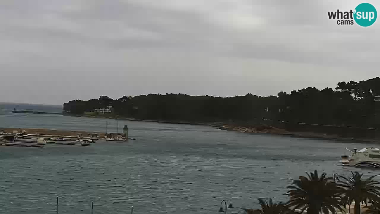 Jelsa camera en vivo – Isla de Hvar – Dalmacia – Croacia