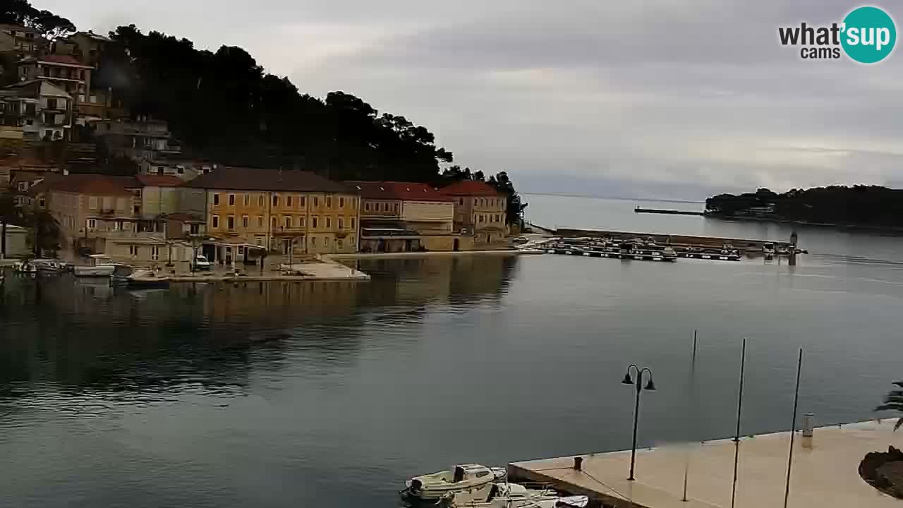 Webcam Jelsa Live motorisée – île de Hvar – Dalmatie – Croatie