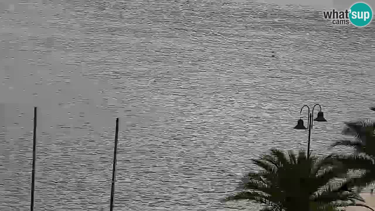 Jelsa camera en vivo – Isla de Hvar – Dalmacia – Croacia