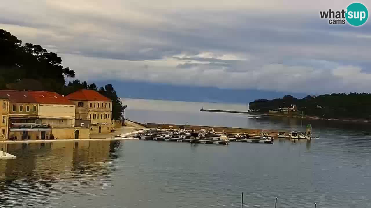 Webcam Jelsa Live motorisée – île de Hvar – Dalmatie – Croatie