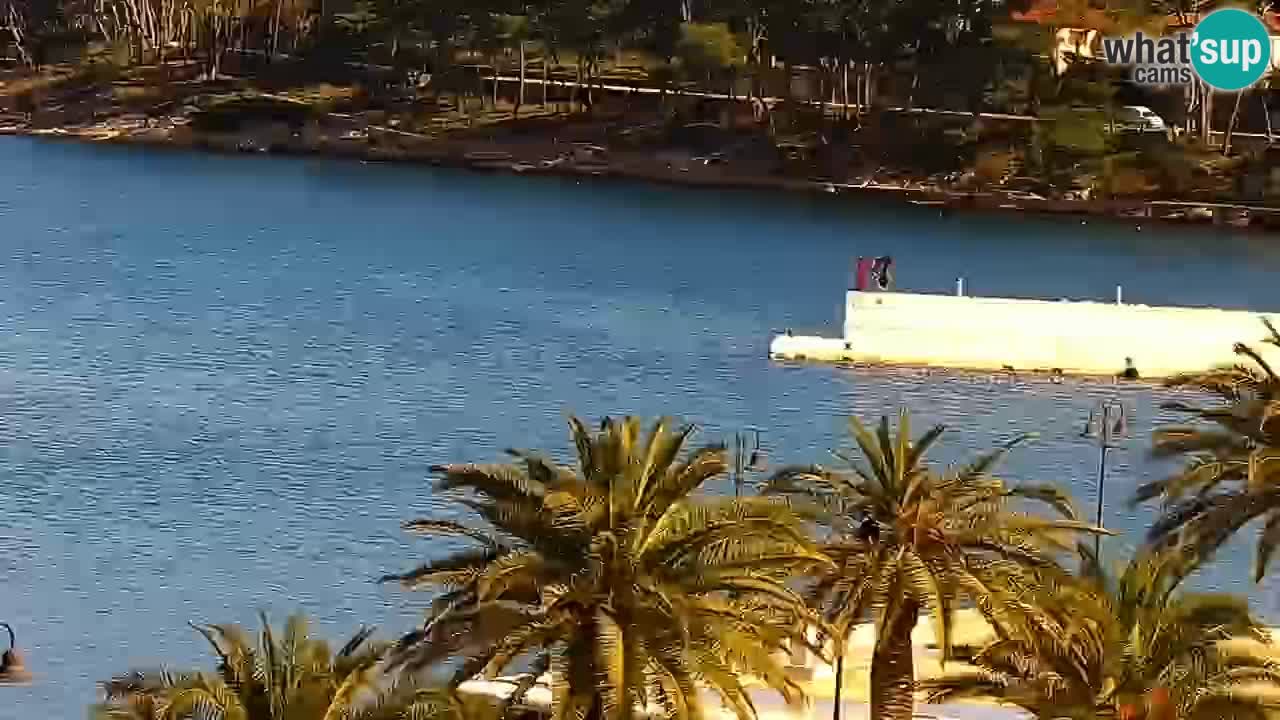 Jelsa Live Webcam motorizzata – Isola di Hvar – Dalmazia – Croazia