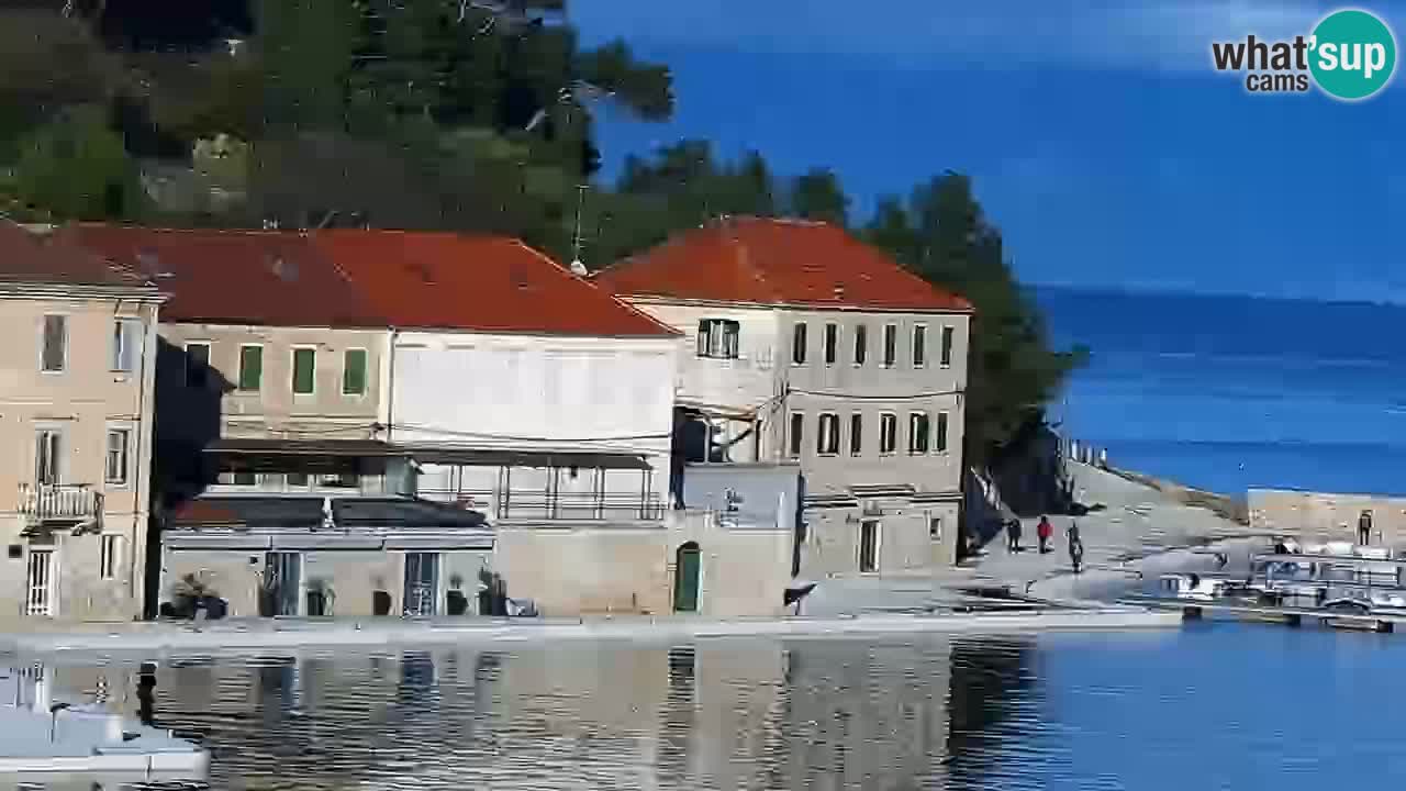 Jelsa Live Webcam motorizzata – Isola di Hvar – Dalmazia – Croazia