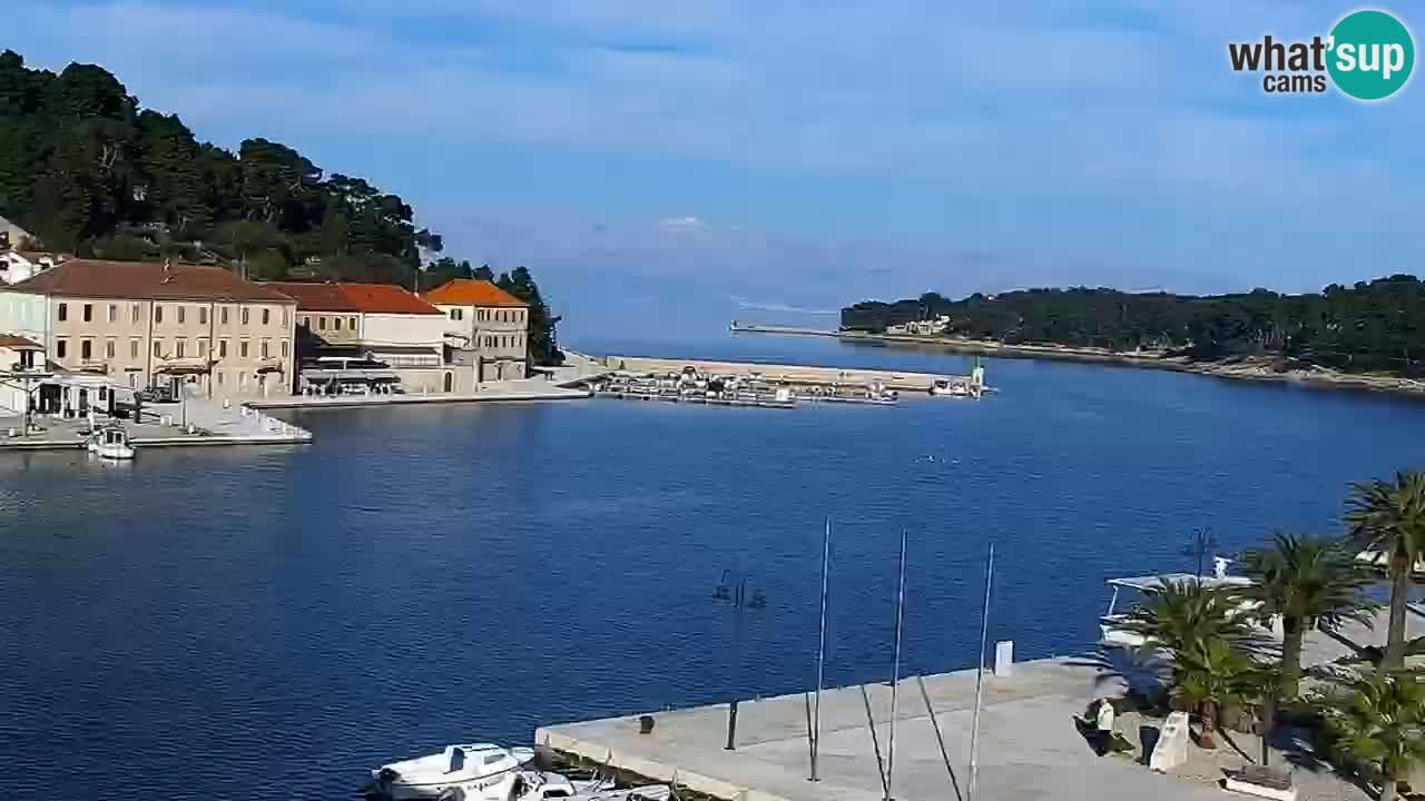Jelsa Live Webcam motorizzata – Isola di Hvar – Dalmazia – Croazia