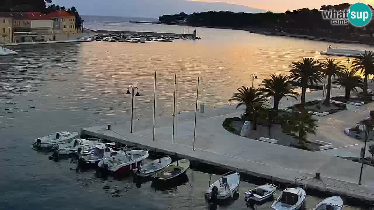 Jelsa Live Webcam motorizzata – Isola di Hvar – Dalmazia – Croazia