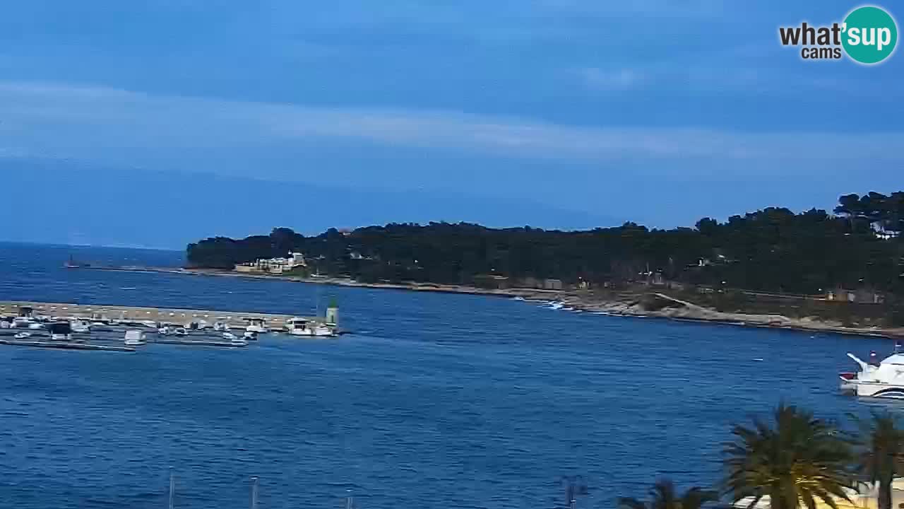 Jelsa camera en vivo – Isla de Hvar – Dalmacia – Croacia