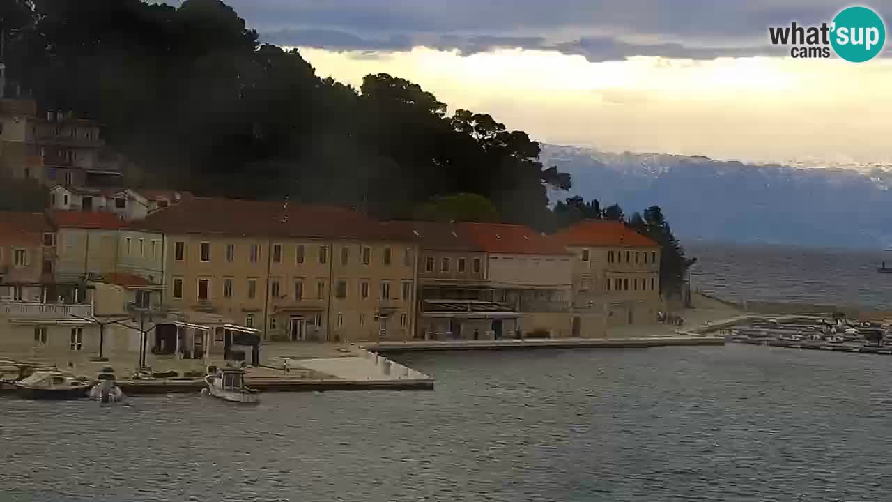 Jelsa Live Webcam motorizzata – Isola di Hvar – Dalmazia – Croazia