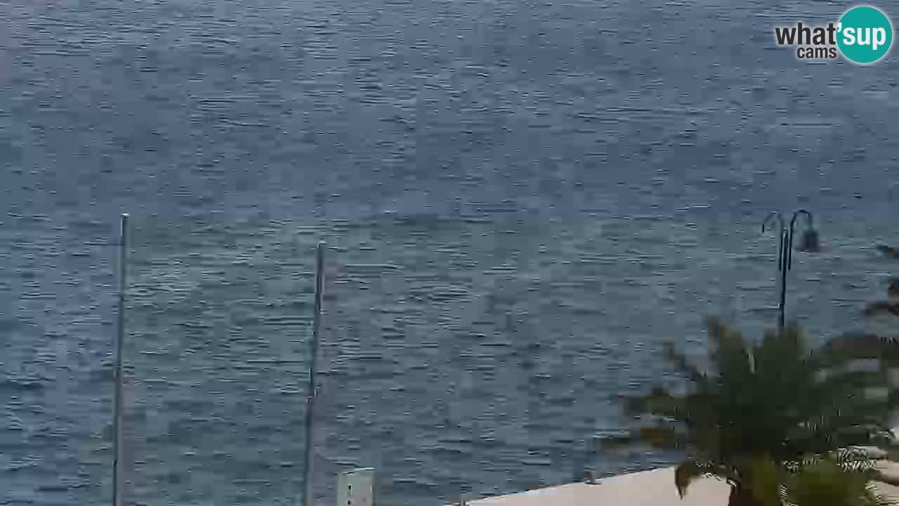 Jelsa camera en vivo – Isla de Hvar – Dalmacia – Croacia