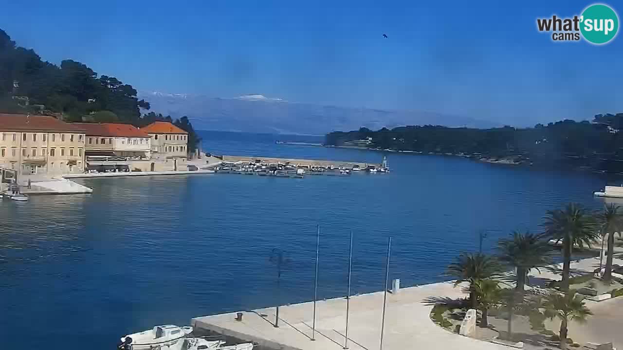 Jelsa camera en vivo – Isla de Hvar – Dalmacia – Croacia