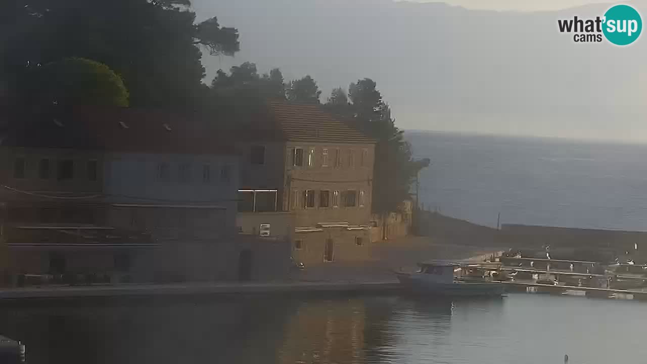 Jelsa camera en vivo – Isla de Hvar – Dalmacia – Croacia