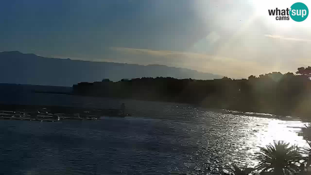 Jelsa camera en vivo – Isla de Hvar – Dalmacia – Croacia