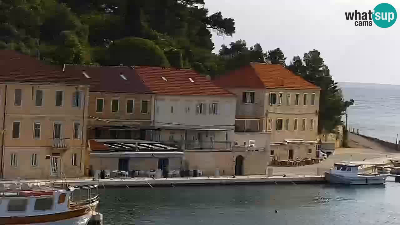 Jelsa camera en vivo – Isla de Hvar – Dalmacia – Croacia