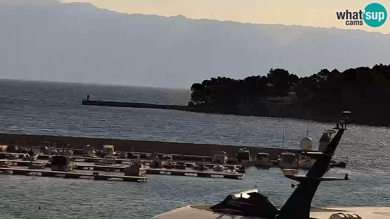 Jelsa camera en vivo – Isla de Hvar – Dalmacia – Croacia