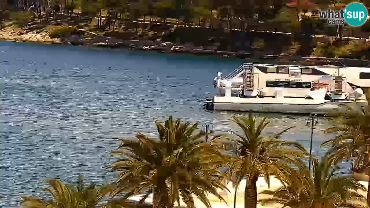 Jelsa Live Webcam motorizzata – Isola di Hvar – Dalmazia – Croazia