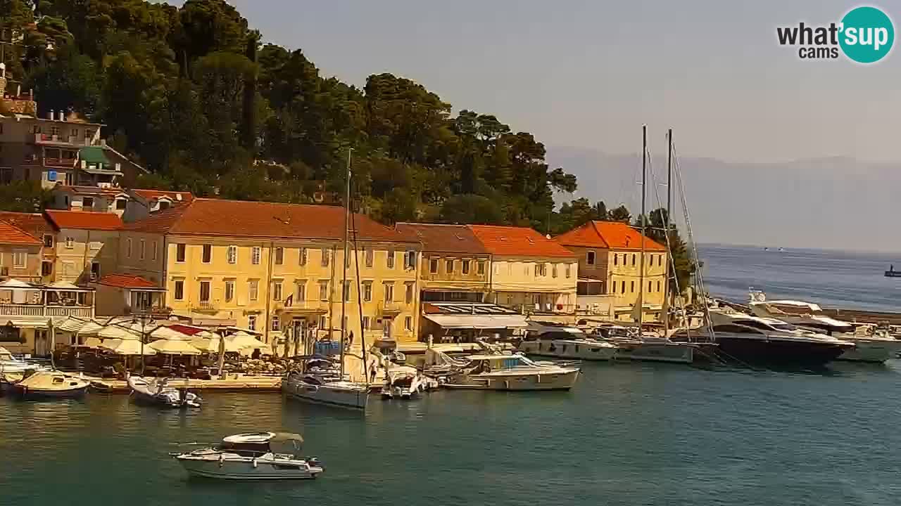 Webcam Jelsa Live motorisée – île de Hvar – Dalmatie – Croatie