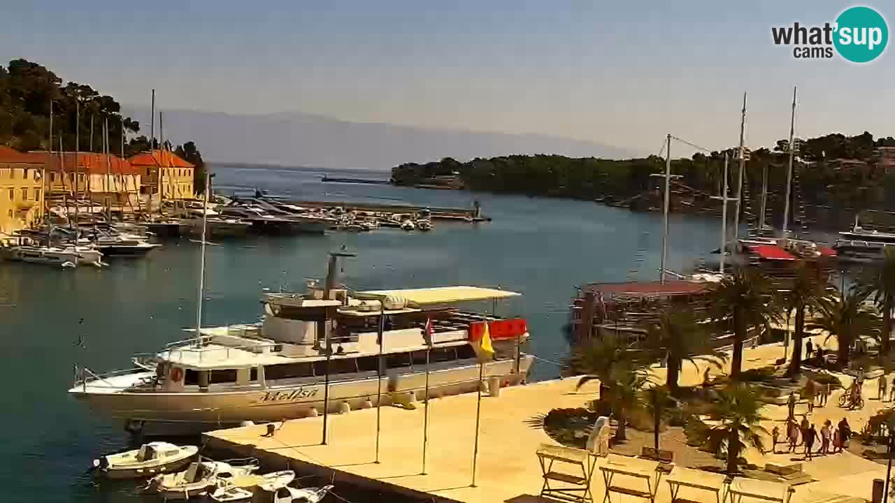 Jelsa Live Webcam motorized – Hvar island – Dalmatia – Croatia