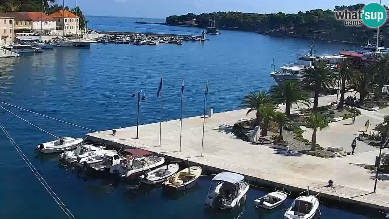 Webcam Jelsa Live motorisée – île de Hvar – Dalmatie – Croatie