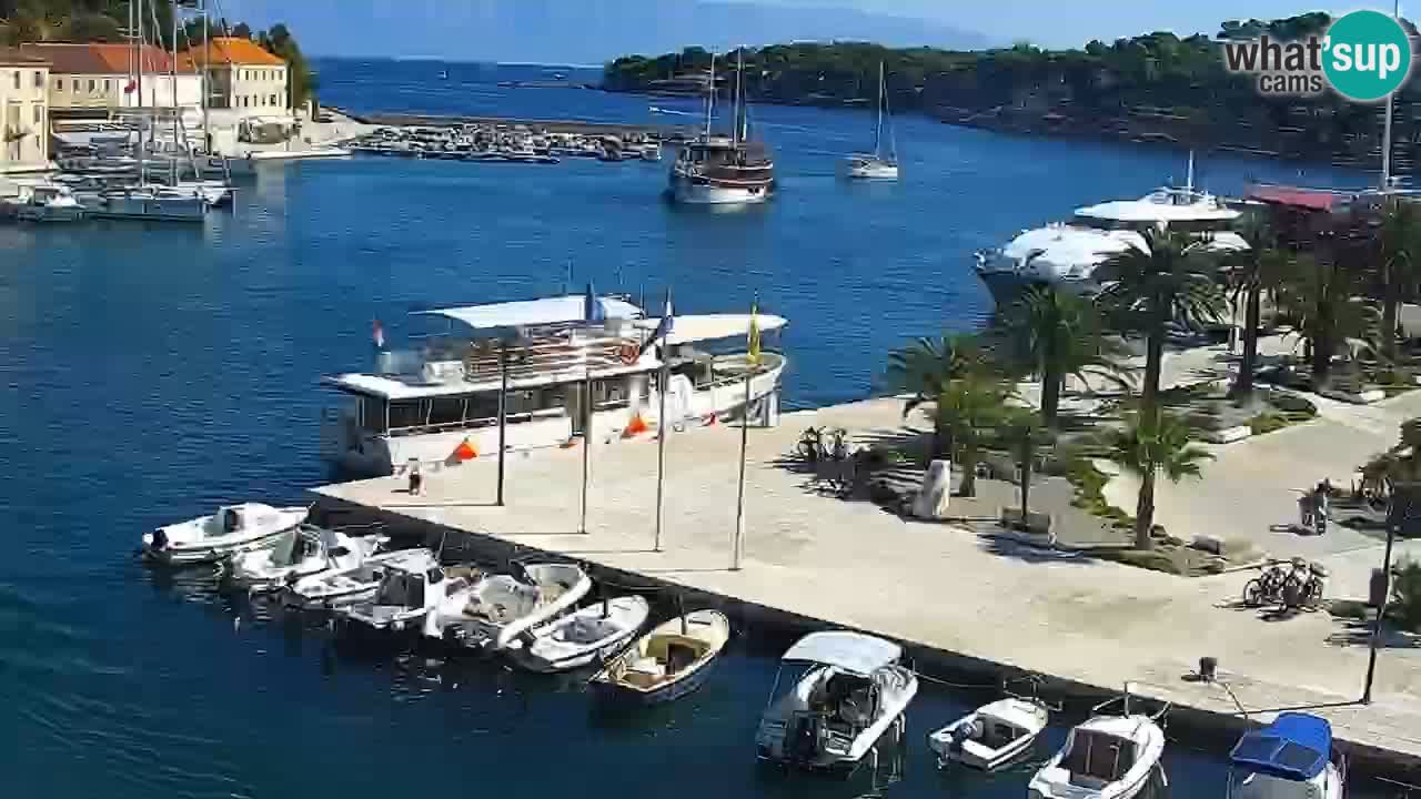 Jelsa Live Webcam motorizzata – Isola di Hvar – Dalmazia – Croazia