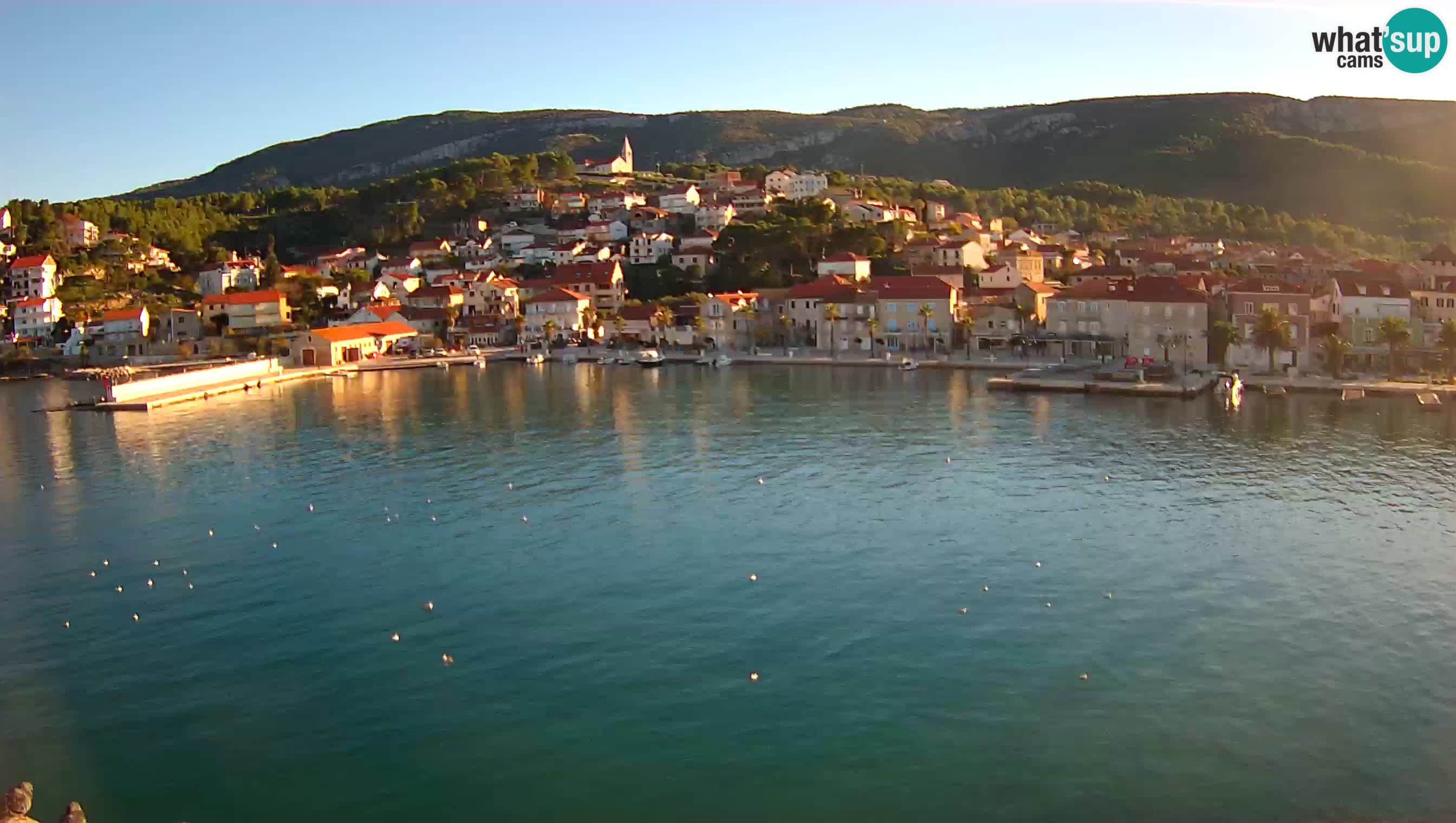 Jelsa webcam Hvar – Panorama