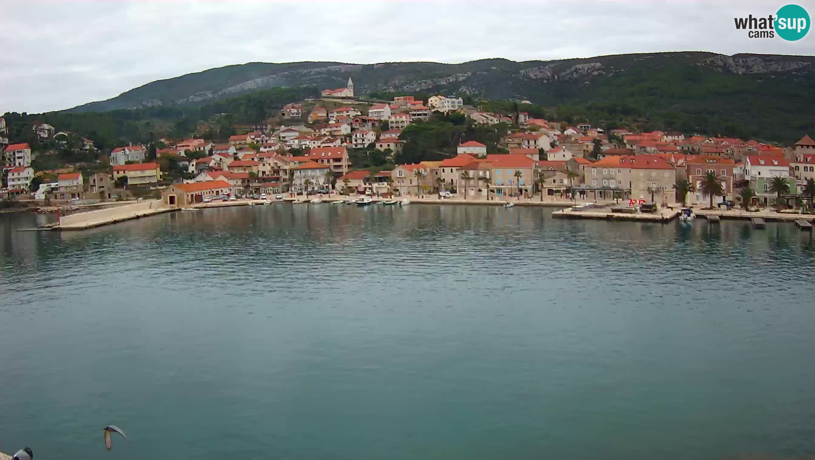 Jelsa / Hvar