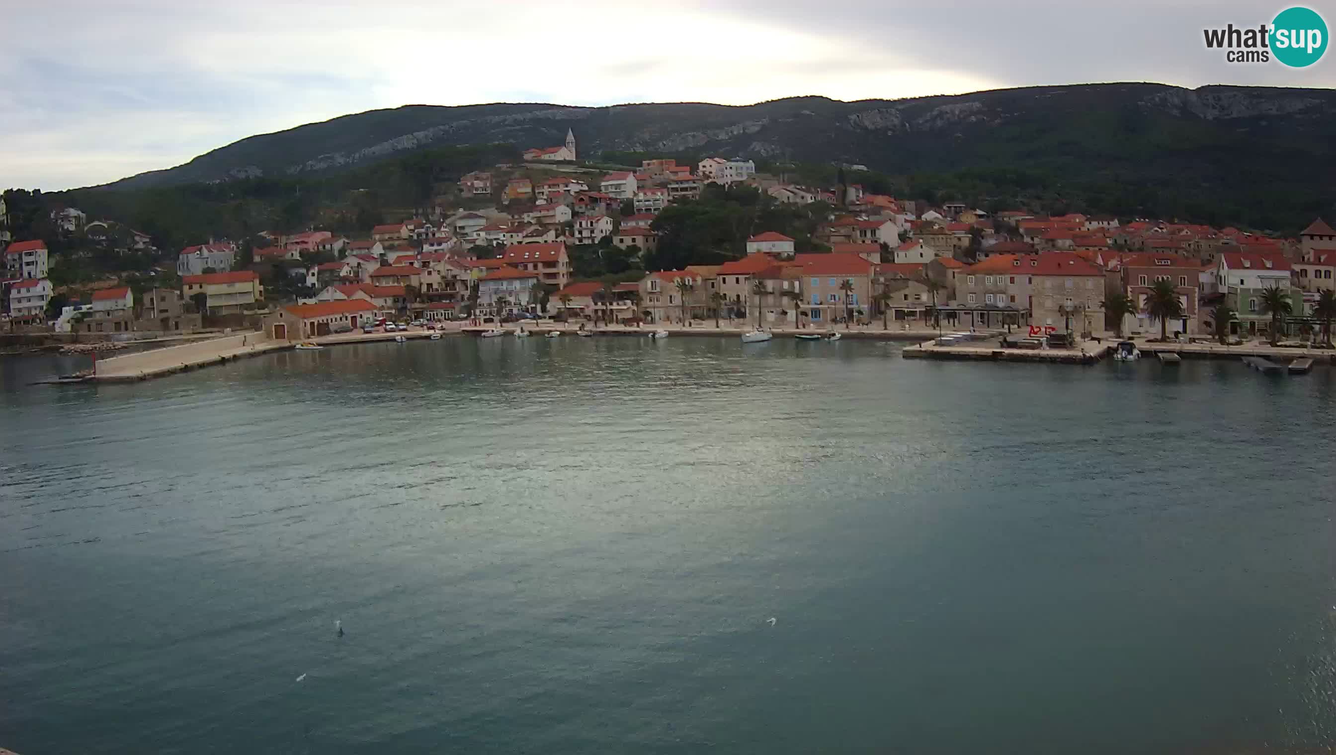 Jelsa / Hvar