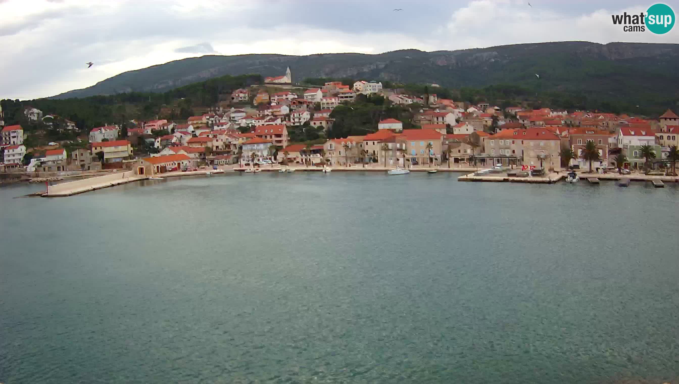 Jelsa web kamera Hvar – Panorama