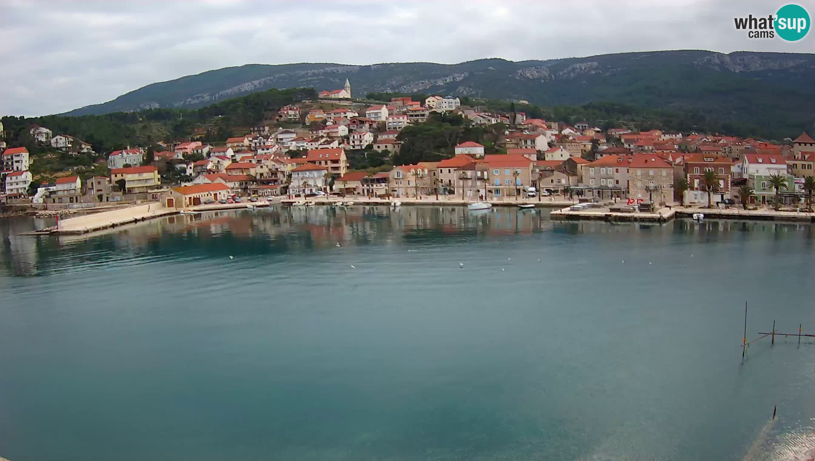 Jelsa web kamera Hvar – Panorama