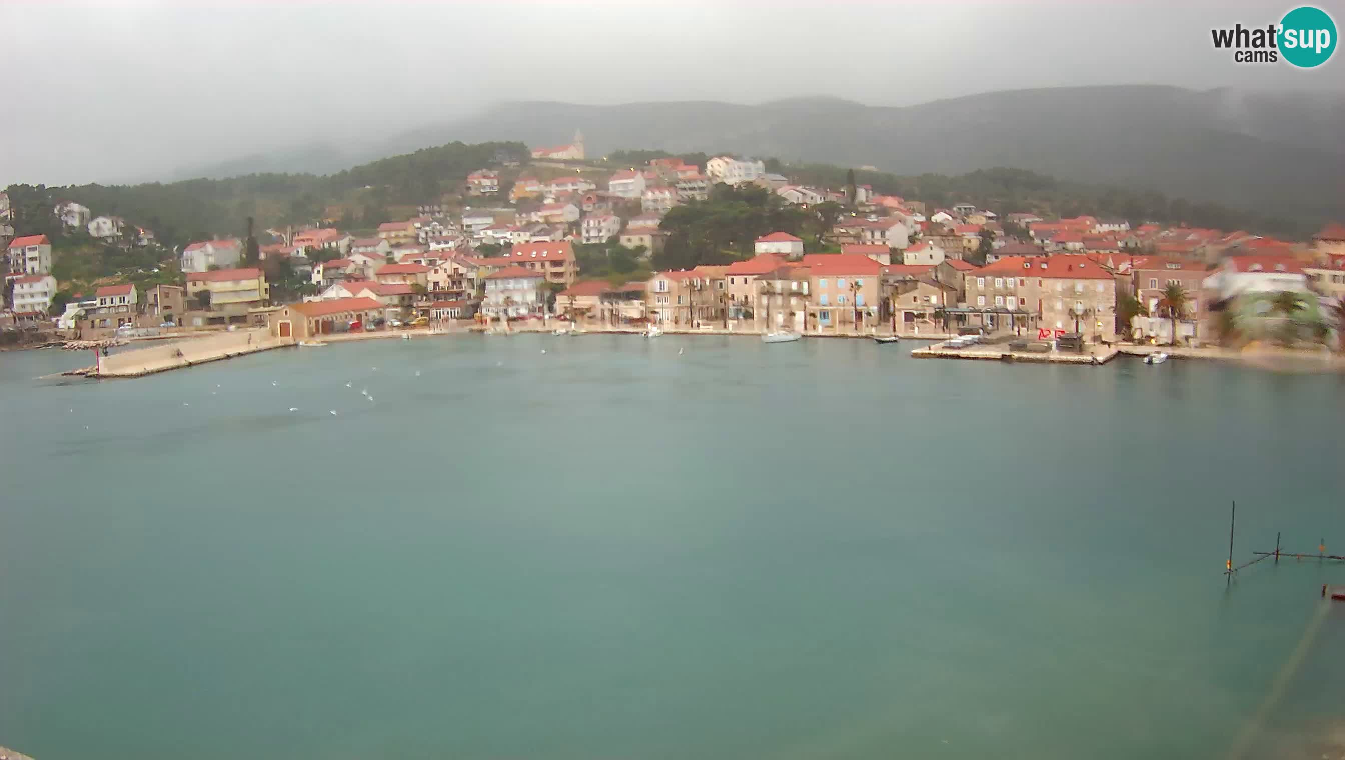 Gelsa Livecam Lesina – Panorama