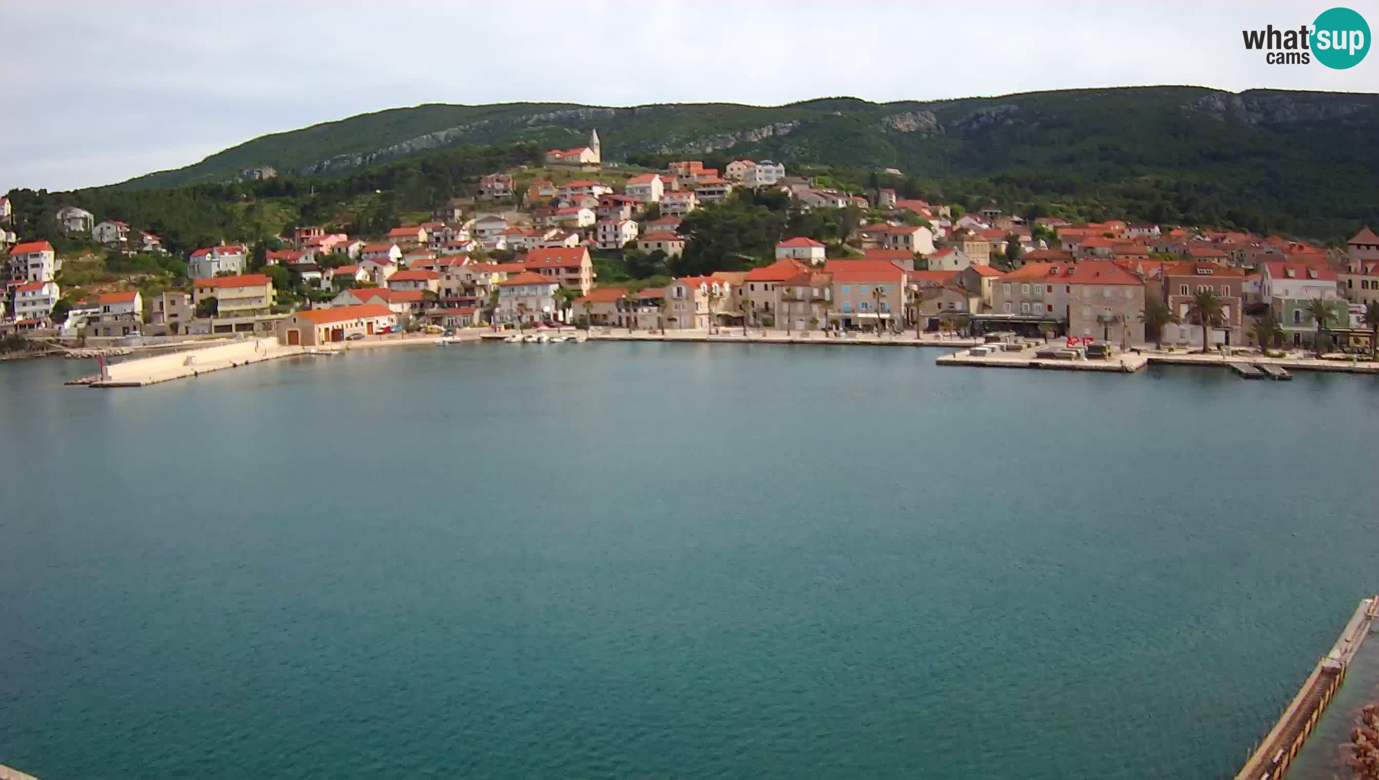 Gelsa Livecam Lesina – Panorama