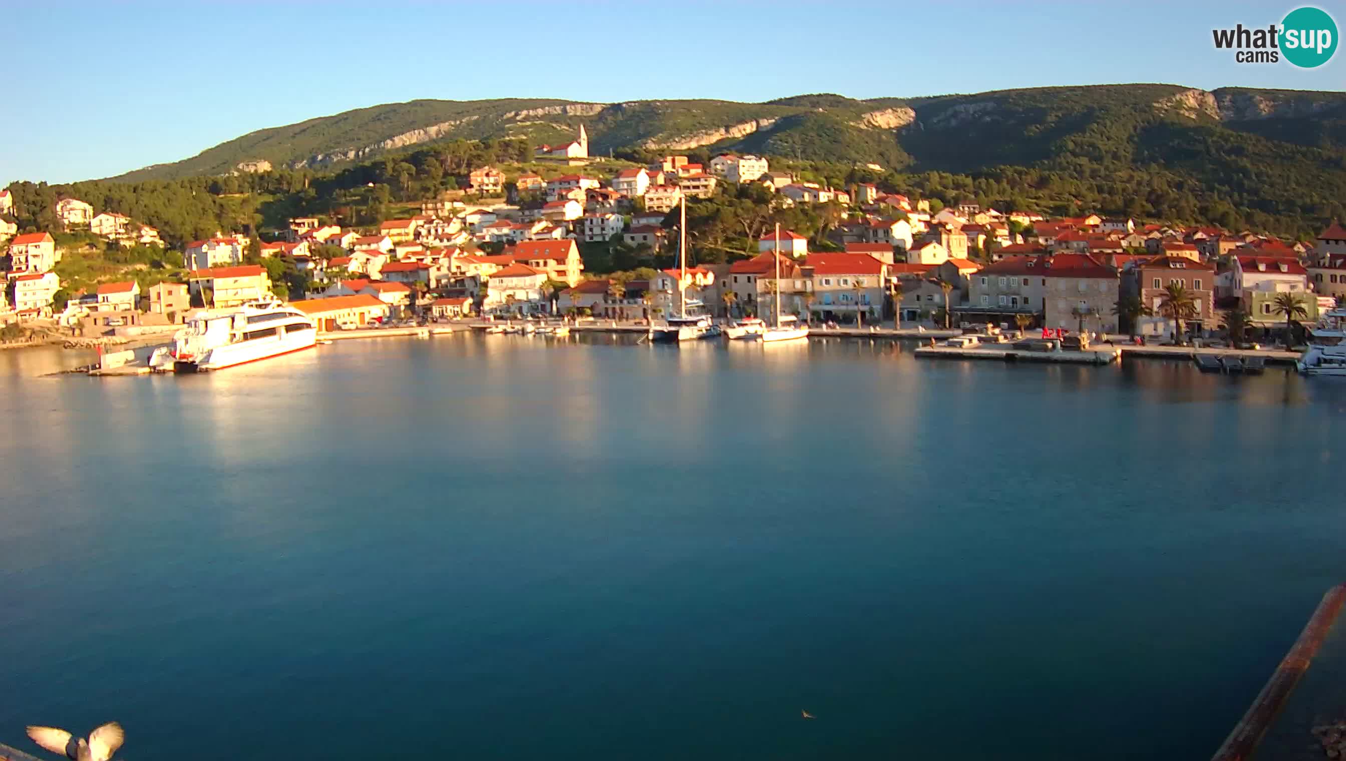 Jelsa / Hvar