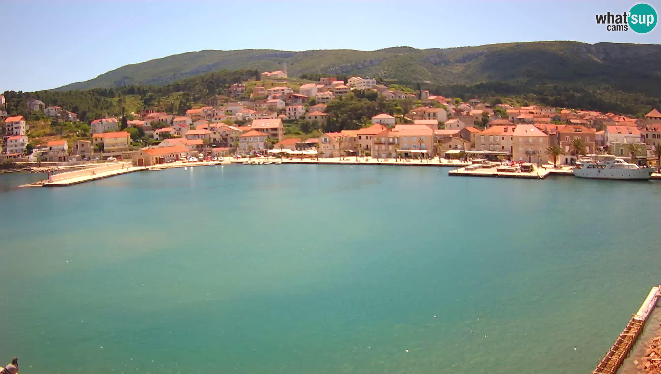 Jelsa webcam Hvar – Panorama