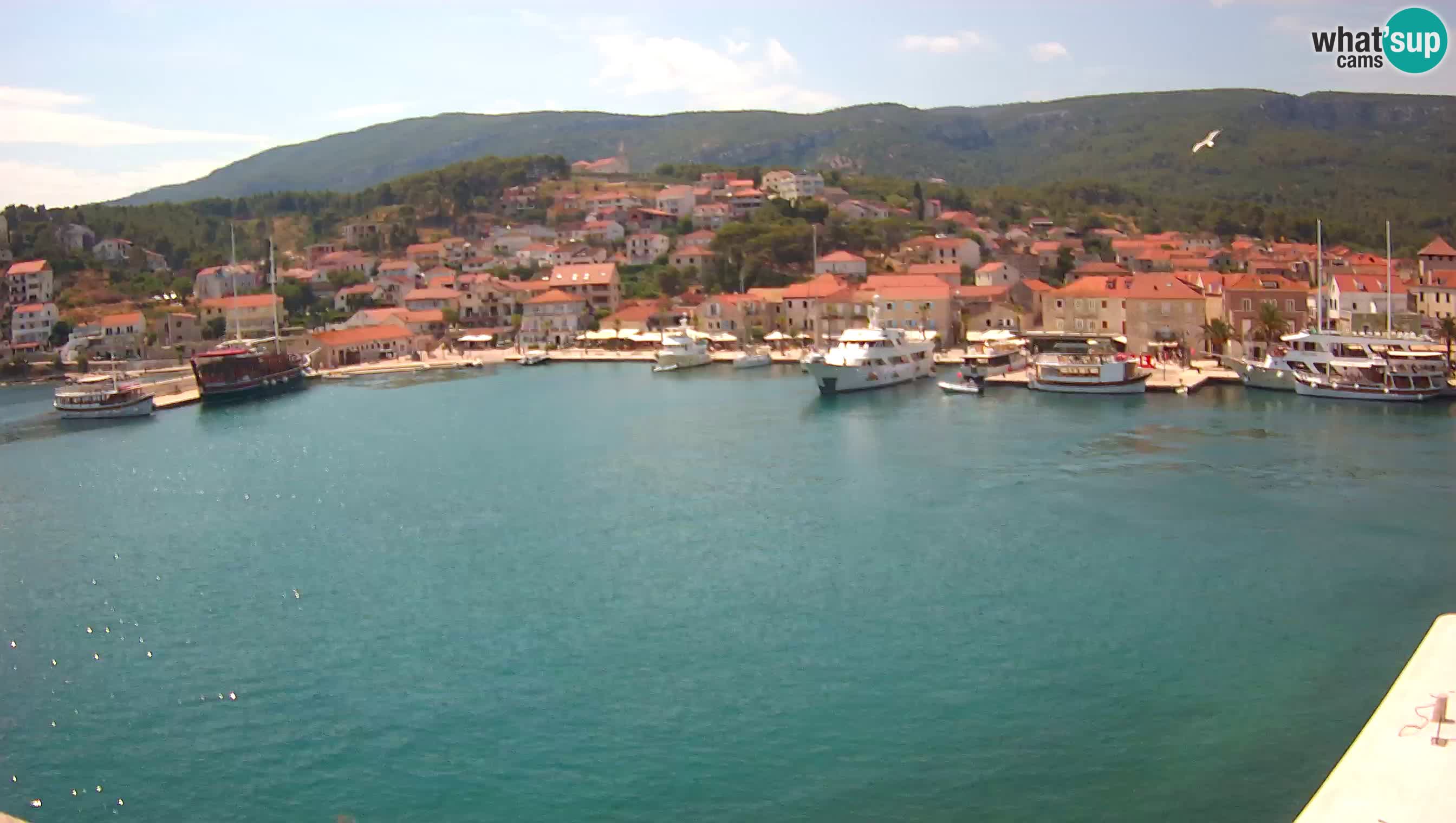 Gelsa Livecam Lesina – Panorama