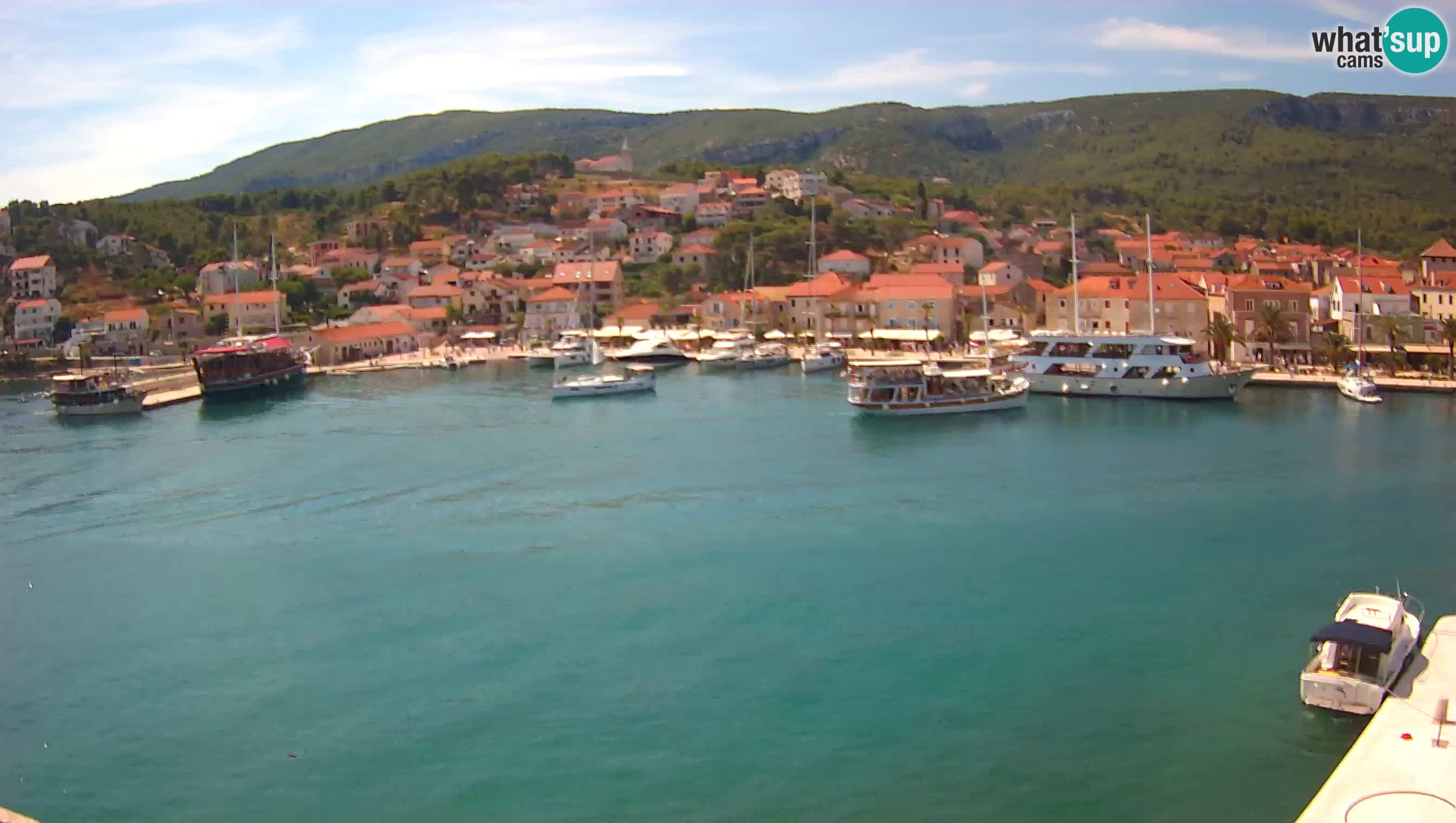 Gelsa Livecam Lesina – Panorama