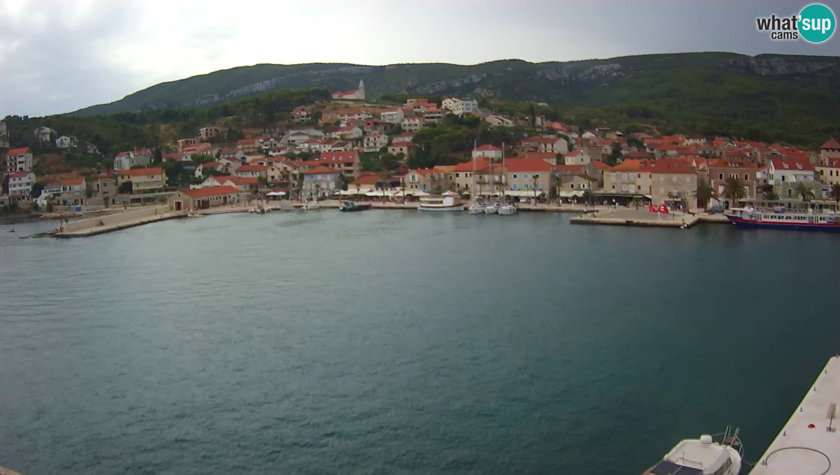 Gelsa Livecam Lesina – Panorama