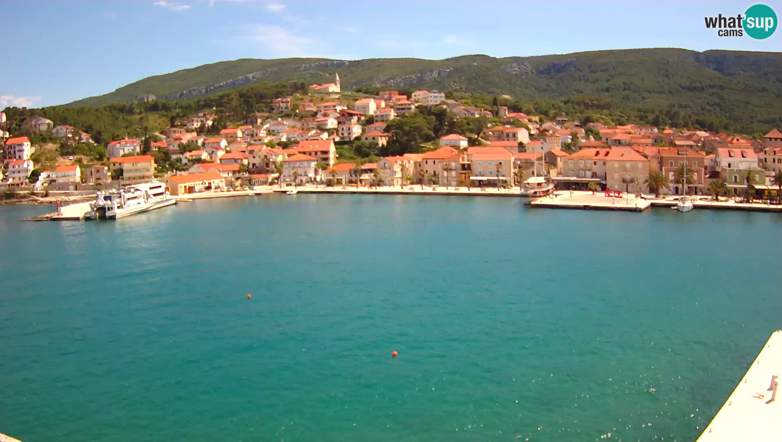 Gelsa Livecam Lesina – Panorama