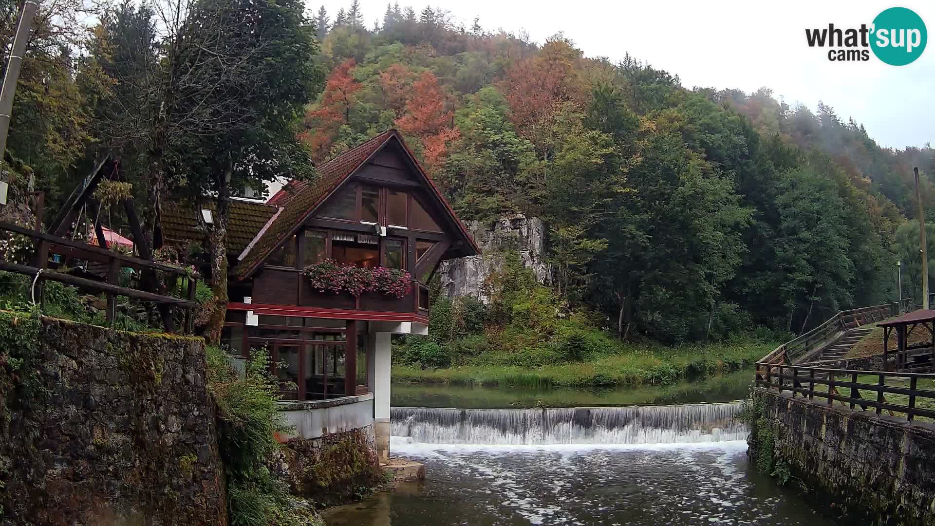 Camera en vivo Cañón Kamačnik – Vrbovsko – Croacia