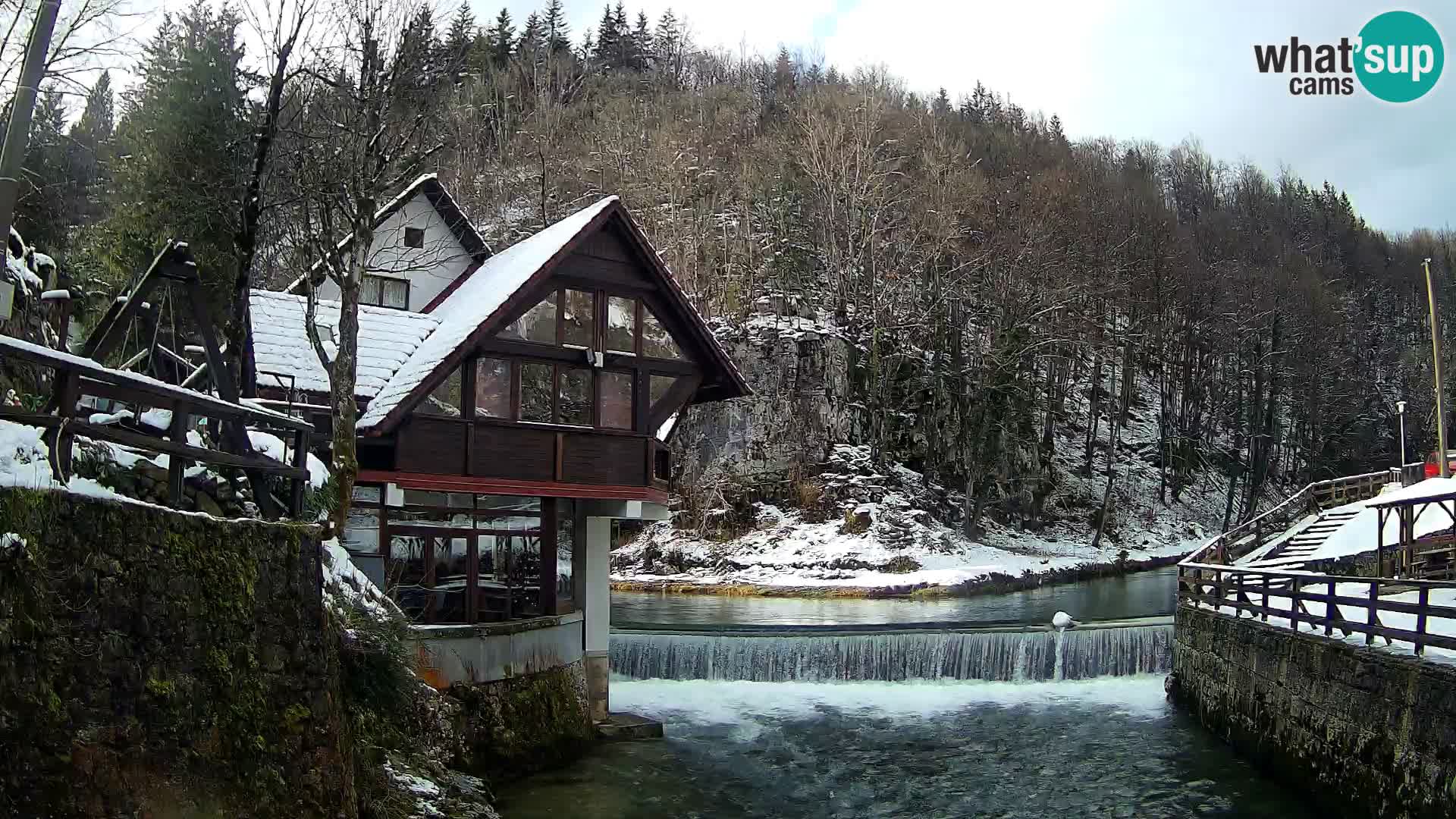 Camera en vivo Cañón Kamačnik – Vrbovsko – Croacia