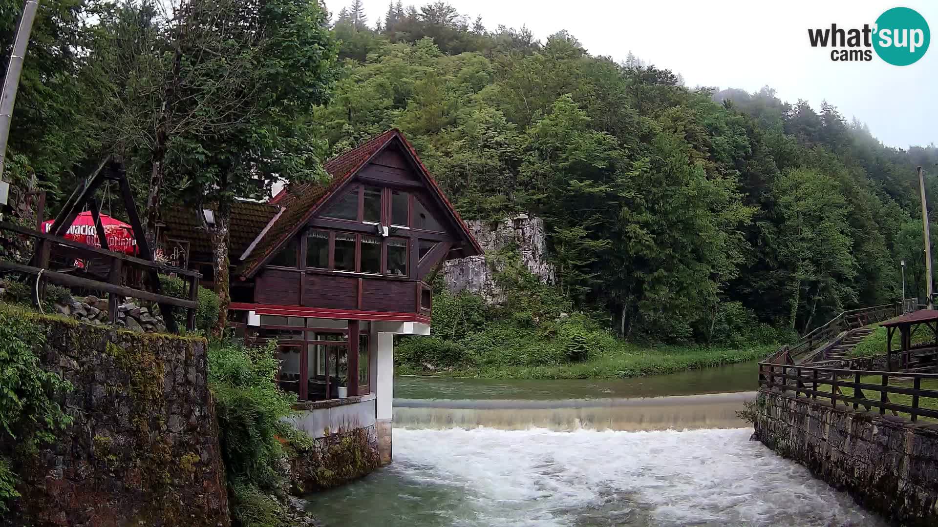 Canyon de Kamacnik Webcam – Vrbovsko – Croatie