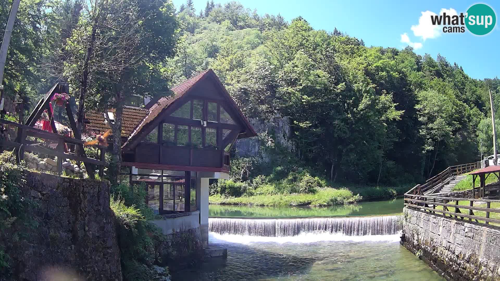Webcam Kamačnik-Schlucht in Vrbovsko, Kroatien