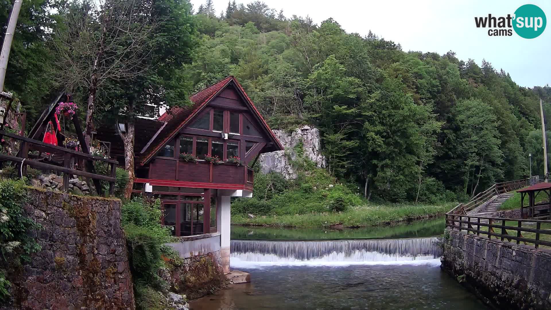 Webcam Kamačnik-Schlucht in Vrbovsko, Kroatien