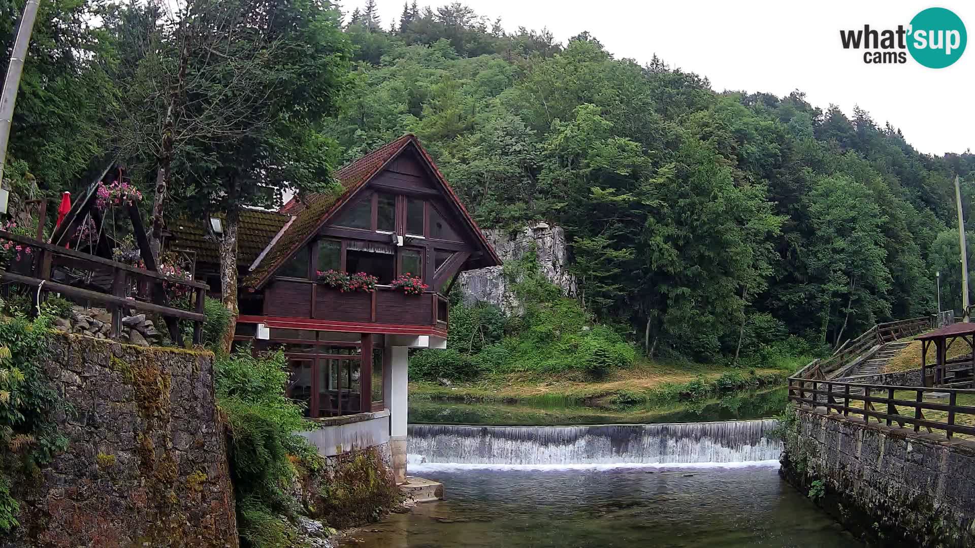 Camera en vivo Cañón Kamačnik – Vrbovsko – Croacia