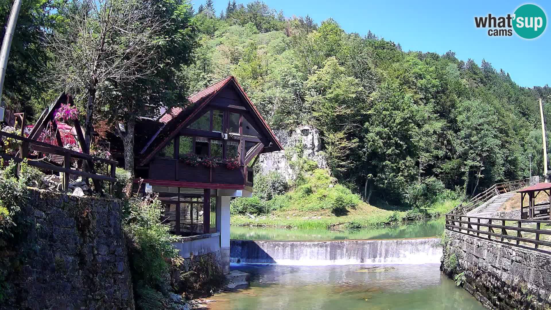 Camera en vivo Cañón Kamačnik – Vrbovsko – Croacia