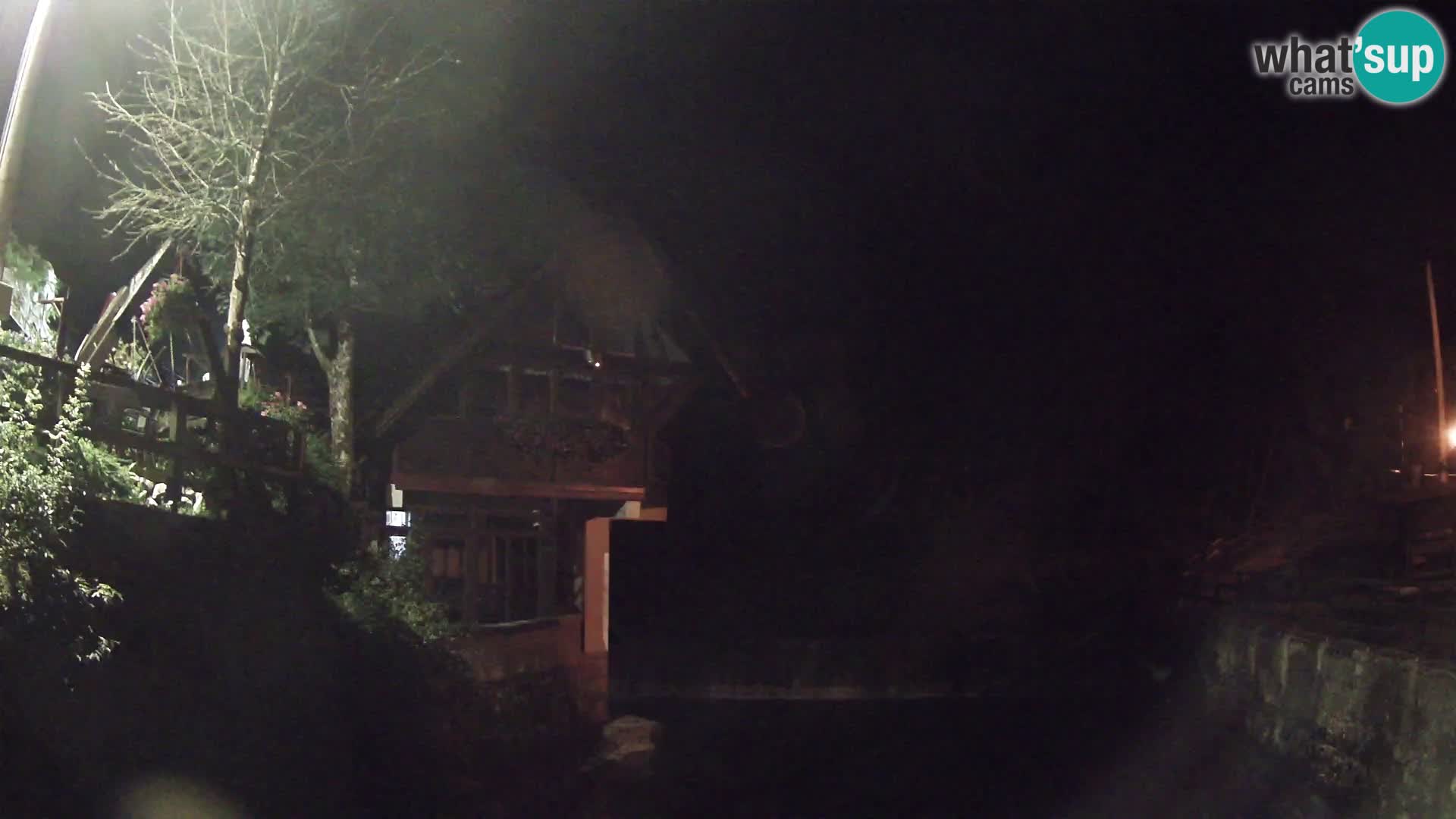 Canyon de Kamacnik Webcam – Vrbovsko – Croatie