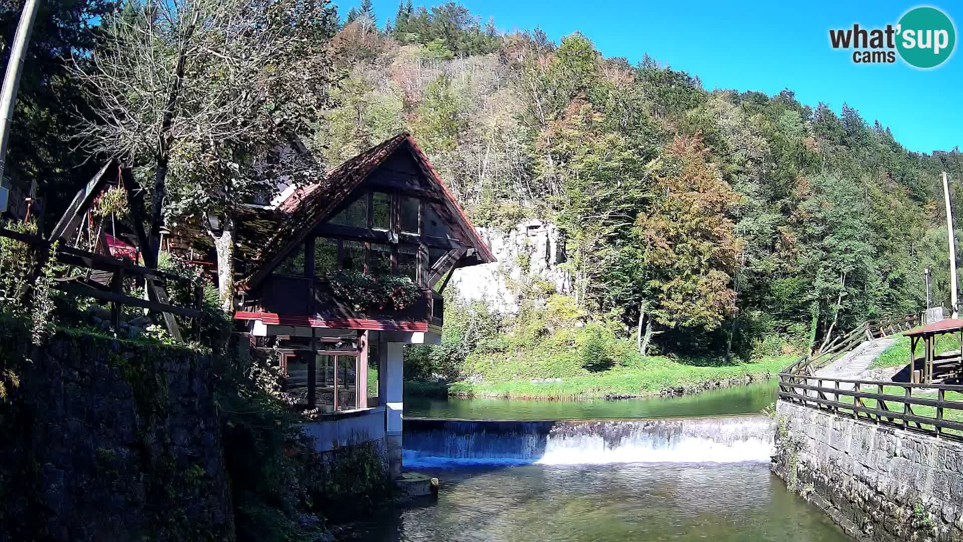 Webcam Kamačnik-Schlucht in Vrbovsko, Kroatien