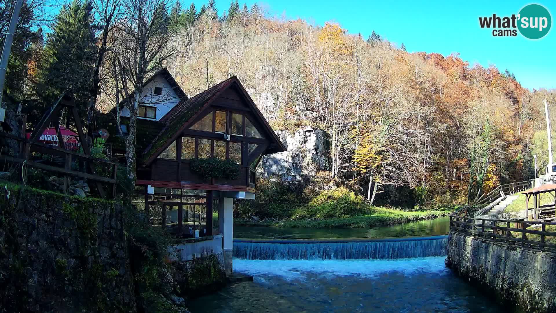 Camera en vivo Cañón Kamačnik – Vrbovsko – Croacia