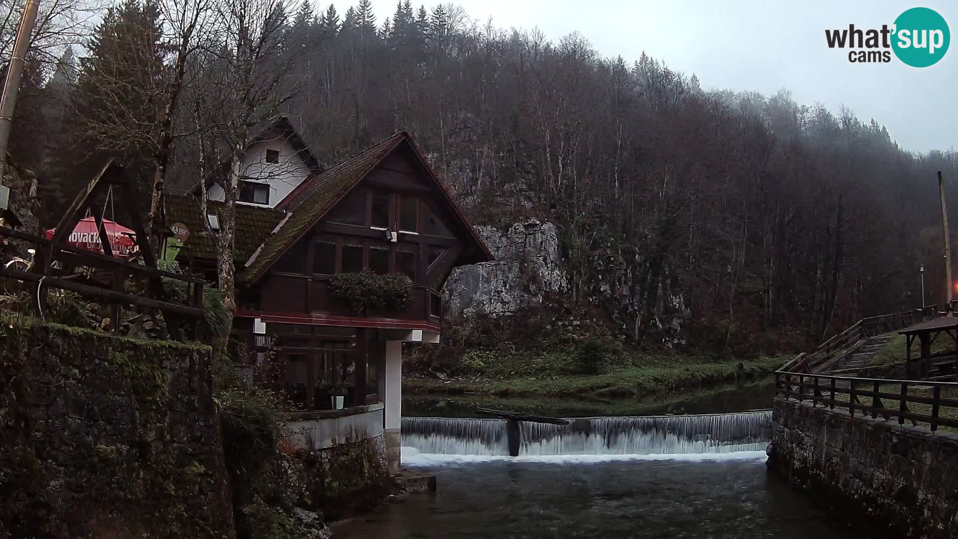 Webcam Kamačnik-Schlucht in Vrbovsko, Kroatien