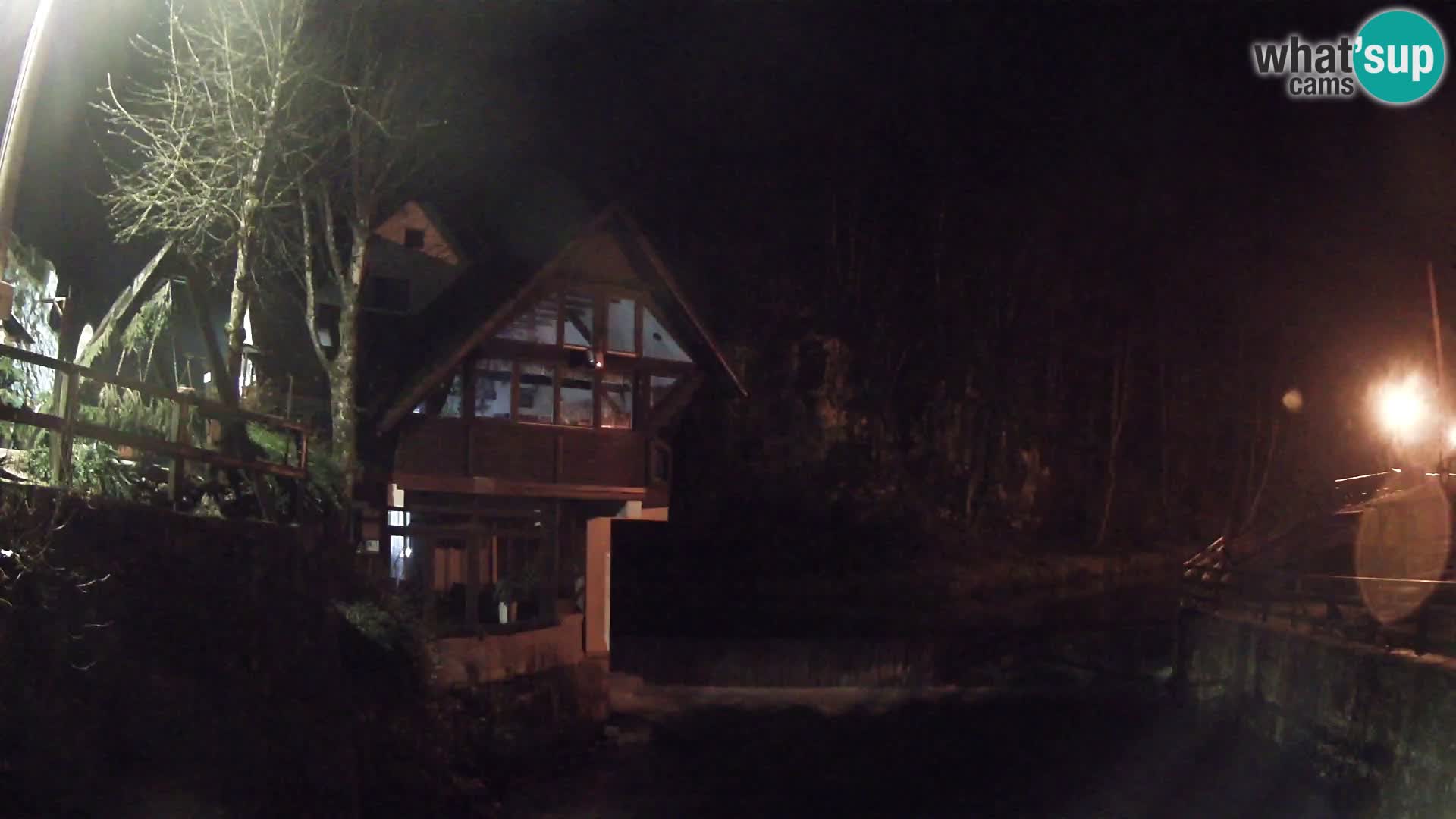 Canyon de Kamacnik Webcam – Vrbovsko – Croatie